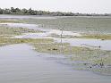 Delta Dunaju 09